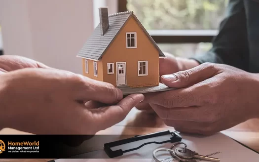 Property letting guide